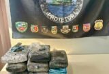 Mais de 11kg de skunk são achados em caixa de isopor em Coari