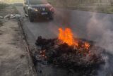 Guarda Municipal realiza prisões, resgata animais silvestres e atua na prevenção de incêndios na capital