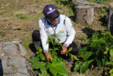 Agricultores do ramal do Japuri recebem visita técnica e orientações em Envira
