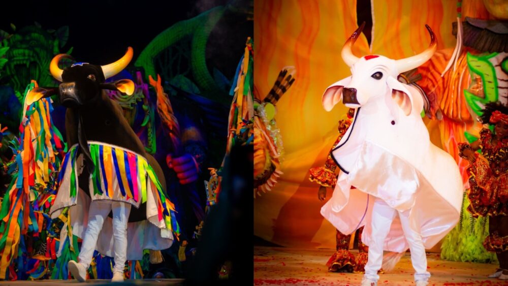 Espetáculo, cultura e emoção marcam a última noite do Festival de Parintins 2026