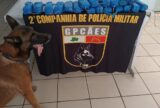 Tonantins: Operação Segurança Presente apreende mais de 11kg de drogas