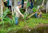 Manaus alerta para aumento dos casos de malária durante o verão amazônico