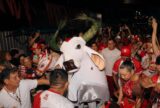 Garantido reúne multidão na tradicional Matança do Boi na Baixa da Xanda