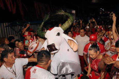 Garantido reúne multidão na tradicional Matança do Boi na Baixa da Xanda
