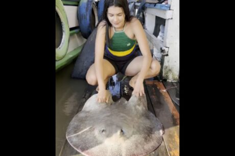 Ribeirinha do Amazonas viraliza ao ensinar como limpar e preparar arraia