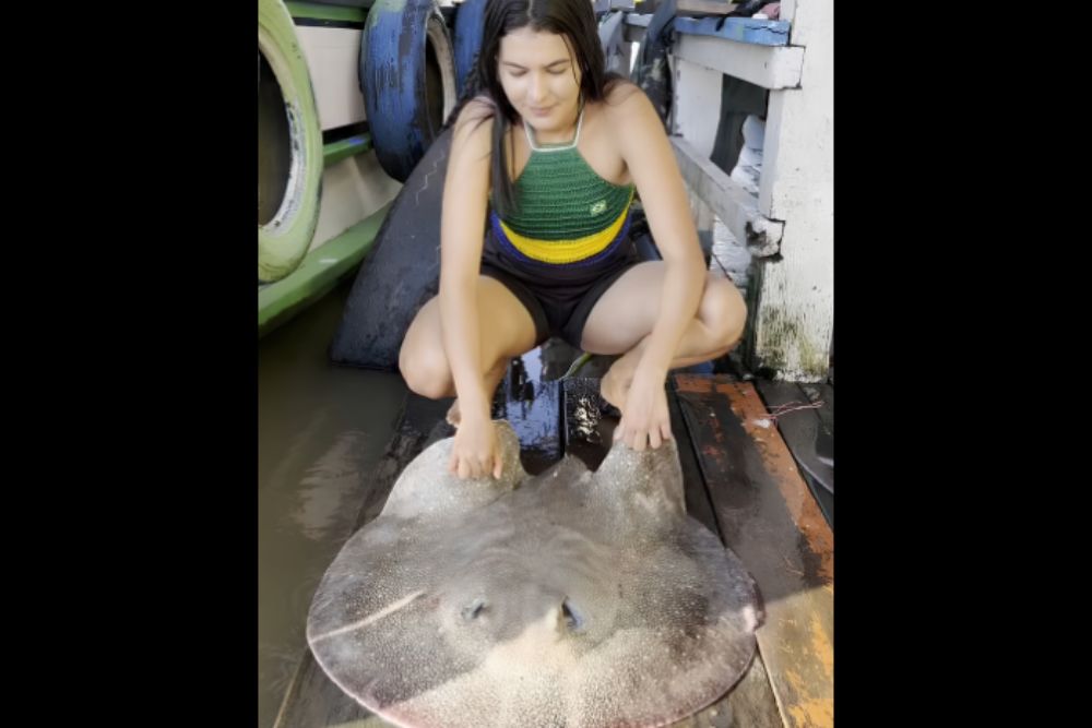Ribeirinha do Amazonas viraliza ao ensinar como limpar e preparar arraia