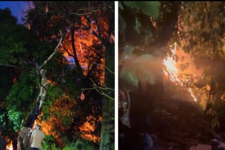 Incêndio em área de vegetação mobiliza Bombeiros no Jorge Teixeira, em Manaus