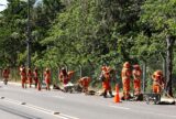 Estrada do Aeroporto recebe mutirão de limpeza com 250 servidores da Prefeitura