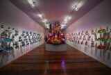 Parintins conquista o Rio e transforma cultura em desenvolvimento