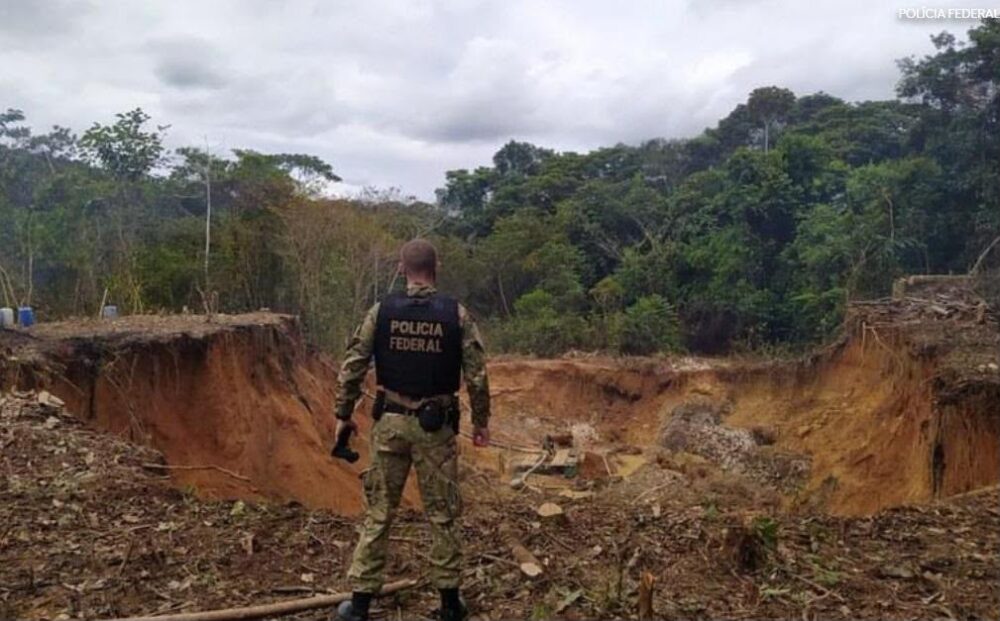 PF e Icmbio realizam megaoperação na fronteira do Amazonas