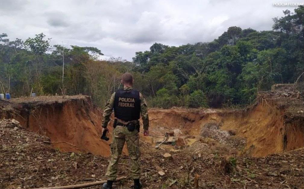 PF e Icmbio realizam megaoperação na fronteira do Amazonas