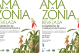 Exposição reúne arte e ciência para revelar a flora amazônica em Manaus