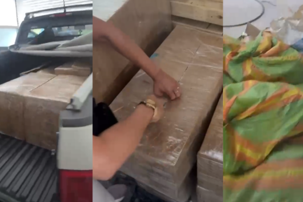 Polícia apreende 700 kg de skunk armazenados em galpão na zona Norte de Manaus