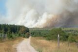 União Europeia mobiliza aeronaves para combater incêndio florestal na Bélgica