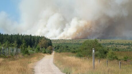 União Europeia mobiliza aeronaves para combater incêndio florestal na Bélgica