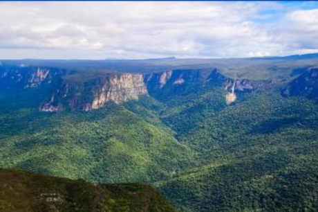 Expedição científica investiga biodiversidade da Serra do Aracá, no Amazonas