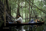 Fotografia registra vida e biodiversidade das Reservas Mamirauá e Amanã