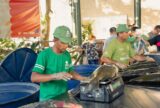 Feira do Tambaqui traz 8t de pescado a Manaus neste sábado