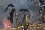 Vídeo: fogo atinge área de mata após incêndio em lixão de Manacapuru