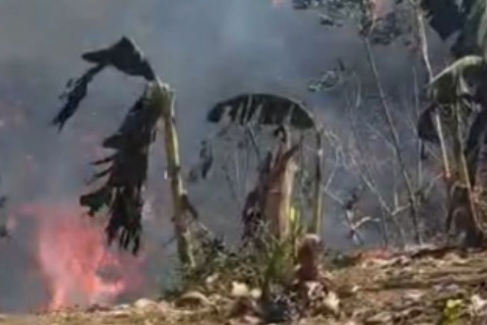 Vídeo: fogo atinge área de mata após incêndio em lixão de Manacapuru