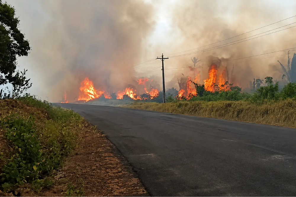 Fogo consome vegetação e preocupa moradores de Caapiranga, no Amazonas