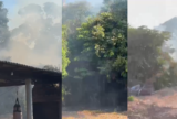 Fogo volta a surgir após incêndio atingir vegetação em Paricatuba, no AM
