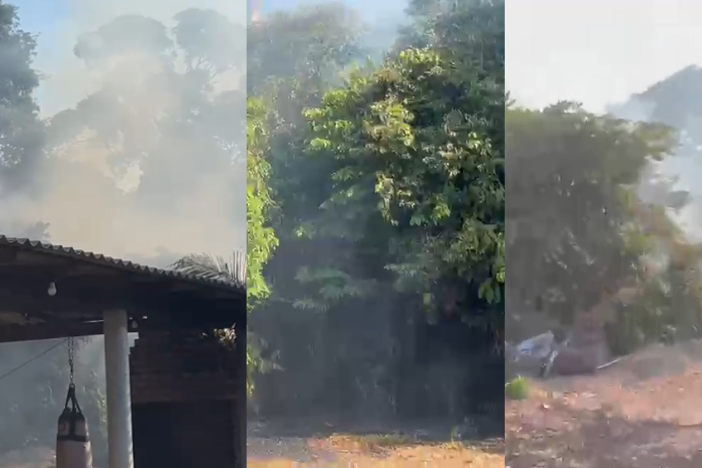 Fogo volta a surgir após incêndio atingir vegetação em Paricatuba, no AM