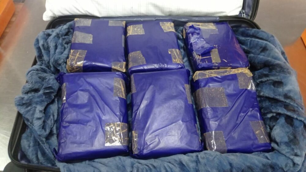 Passageira é presa com 12 kg de skunk na bagagem no Aeroporto de Manaus