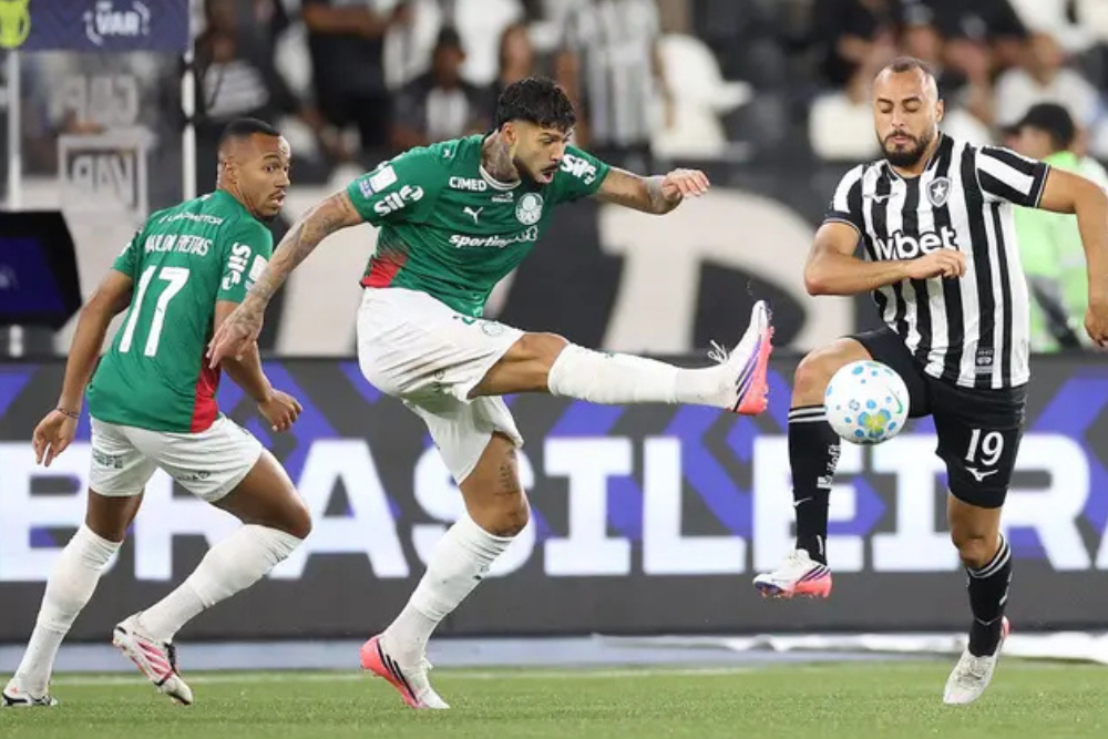 Botafogo segura Palmeiras e ajuda Flamengo, novo líder do Brasileirão
