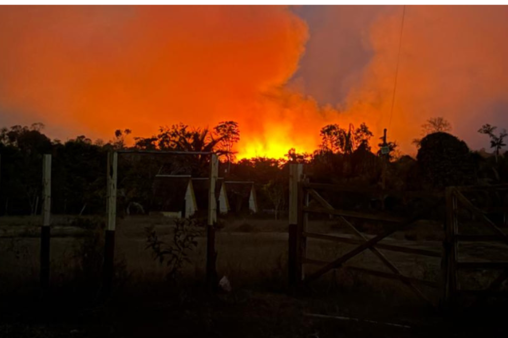 Incêndio de grandes proporções se aproxima de casas e assusta moradores no AM