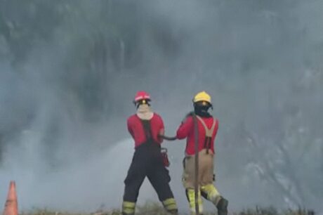 Incêndio atinge área de mata próximo à rotatória do Coroado em Manaus