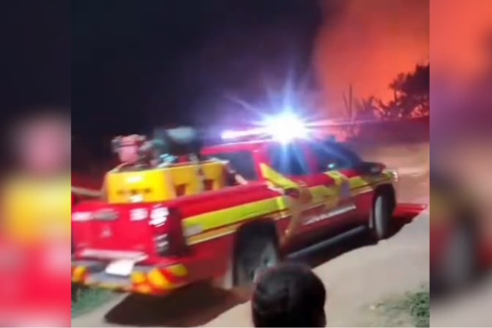 Incêndio criminoso atinge área de mata em Maués, no Amazonas