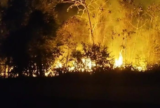 Incêndio sai de lixão, atinge madeireira e se aproxima de casas em Maués