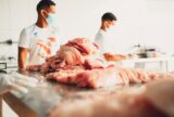 Feira do Pirarucu comercializa 5t de pescado a preços acessíveis em Manaus