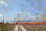 Um homem ainda não identificado ateou fogo em uma área de campo na comunidade Bom Socorro do Zé Açu, na zona rural de Parintins, a 369 quilômetros de Manaus. As chamas se espalharam pelo terreno e mobilizaram moradores para impedir que o incêndio chegasse às casas da região. Imagens compartilhadas nas redes sociais mostram o fogo avançando pela área de vegetação. Diante do risco de as chamas alcançarem as residências próximas, os moradores organizaram uma ação conjunta para controlar o incêndio. Com baldes de água, abafadores improvisados e outros recursos disponíveis na comunidade, eles conseguiram conter o fogo antes que os imóveis fossem atingidos.