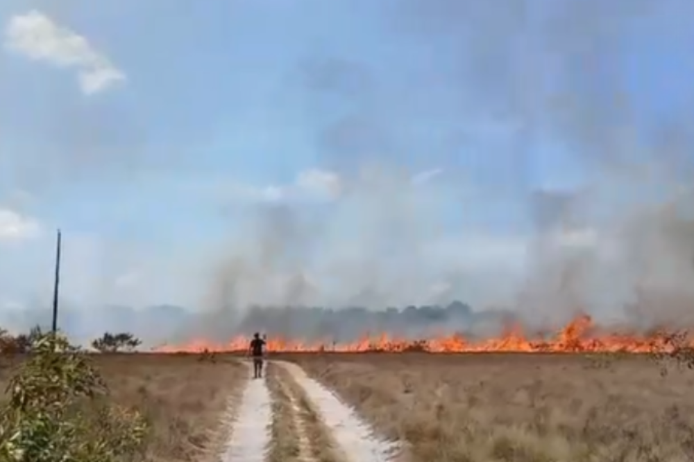 Um homem ainda n&atilde;o identificado ateou fogo em uma &aacute;rea de campo na comunidade Bom Socorro do Z&eacute; A&ccedil;u, na zona rural de Parintins, a 369 quil&ocirc;metros de Manaus. As chamas se espalharam pelo terreno e mobilizaram moradores para impedir que o inc&ecirc;ndio chegasse &agrave;s casas da regi&atilde;o.Imagens compartilhadas nas redes sociais mostram o fogo avan&ccedil;ando pela &aacute;rea de vegeta&ccedil;&atilde;o. Diante do risco de as chamas alcan&ccedil;arem as resid&ecirc;ncias pr&oacute;ximas, os moradores organizaram uma a&ccedil;&atilde;o conjunta para controlar o inc&ecirc;ndio.

Com baldes de &aacute;gua, abafadores improvisados e outros recursos dispon&iacute;veis na comunidade, eles conseguiram conter o fogo antes que os im&oacute;veis fossem atingidos.

